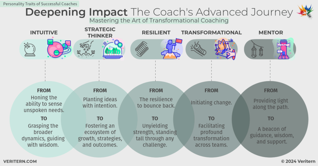 Deepening Impact The Coach's Advanced Journey a diagram of coaching
