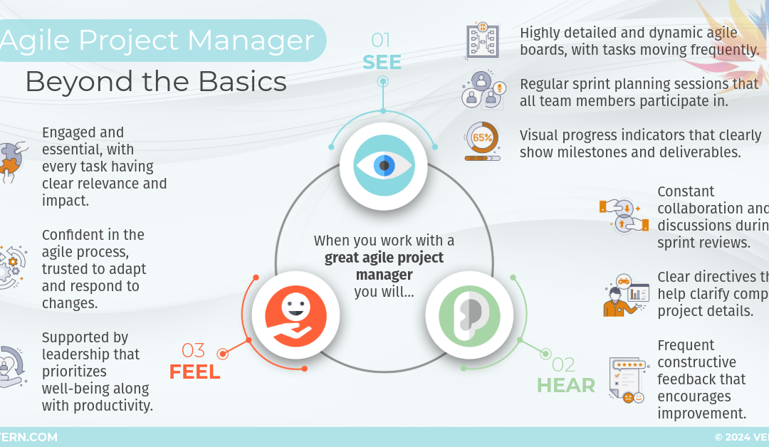 Agile Project Manager: Beyond the Basics
