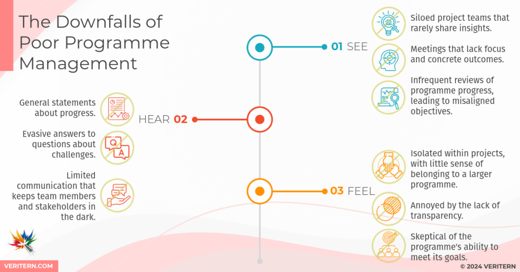 The Downfalls of Poor Programme Management